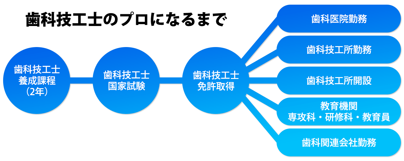 歯科技工士のプロになるまでの図